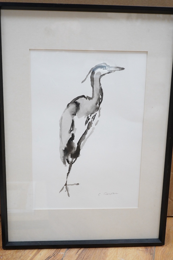 Caroline Conran, two oils on canvas, Peacock and parrot, together with a monochrome watercolour of a heron, one signed, largest 39 x 29cm. Condition - good